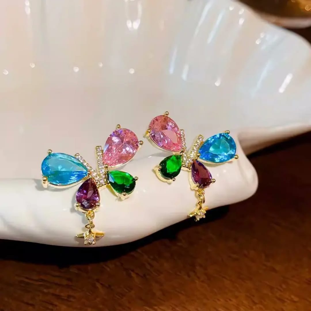 Multi Colour Transy Korean Earings